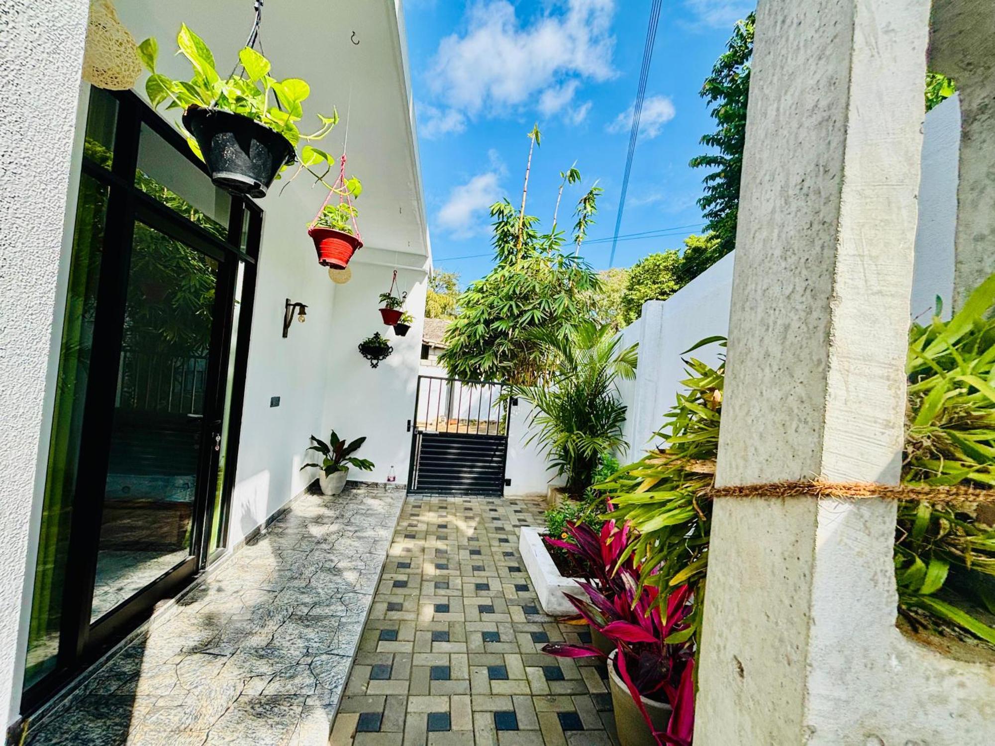 טנגלה Bird House Villas מראה חיצוני תמונה