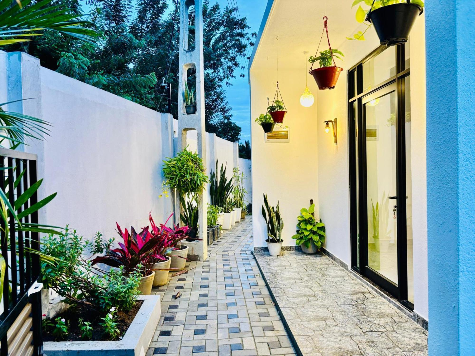 טנגלה Bird House Villas מראה חיצוני תמונה